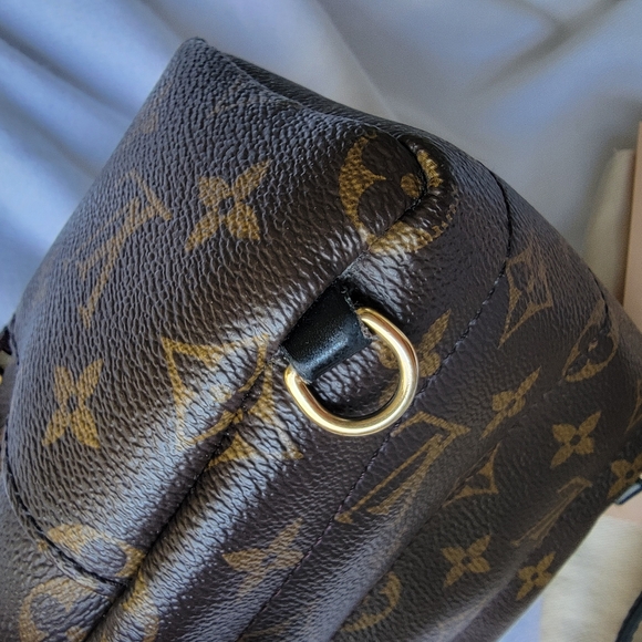 Louis Vuitton Palm Spring Mini Backpack - Picture 16 of 16